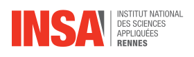 insa