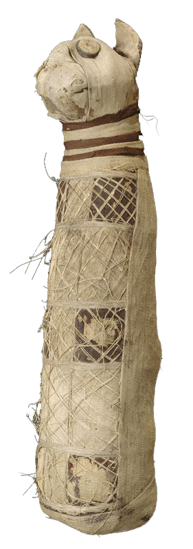 Enveloppe de la momie
