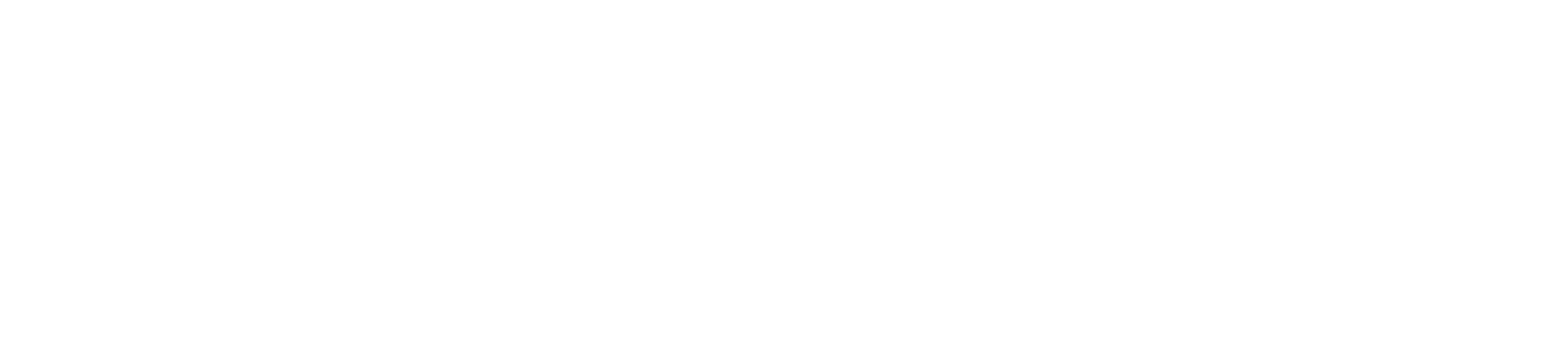 INSA Logo