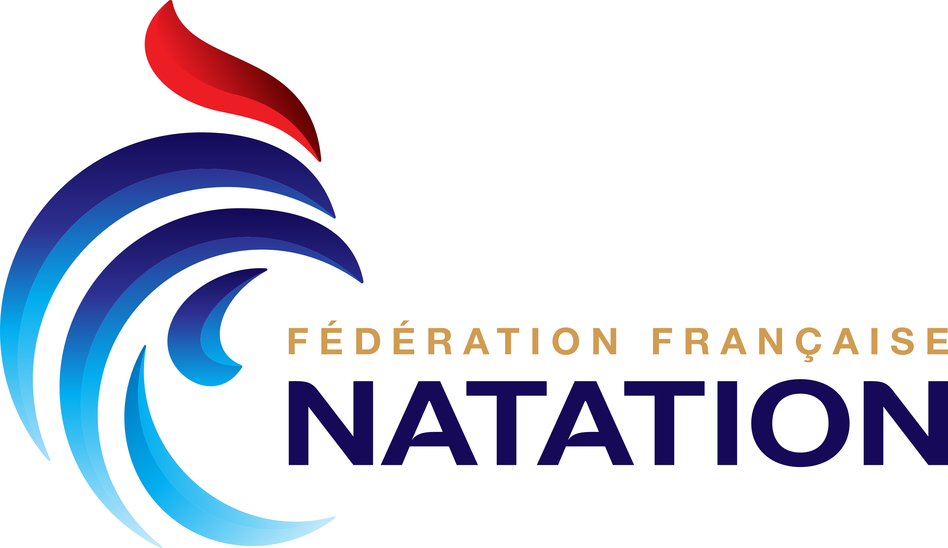 Logo FFN